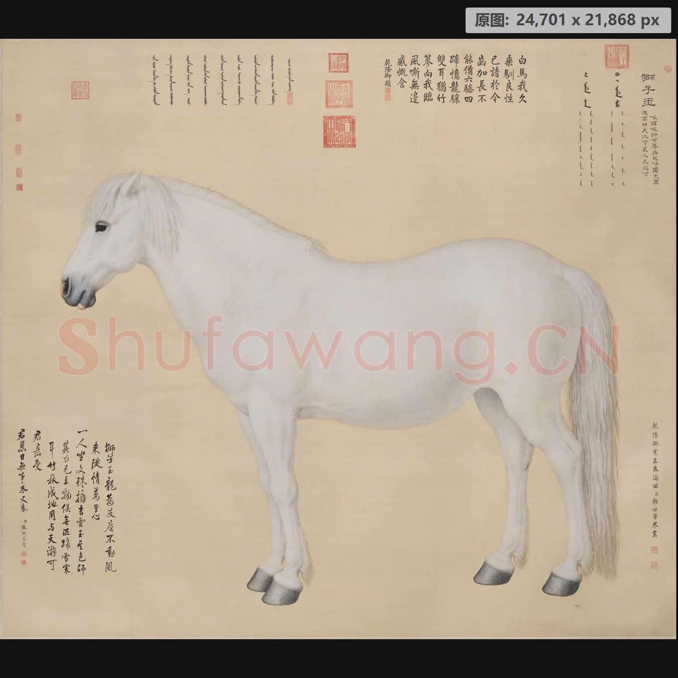 清 郎世宁 狮子玉轴