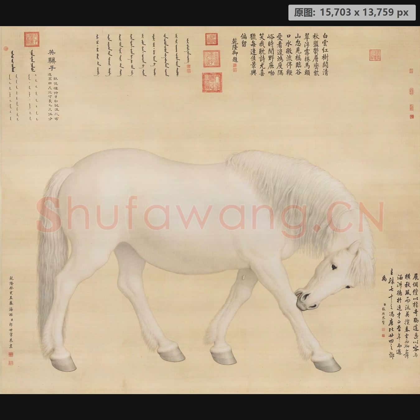 清 郎世宁 英骥子轴