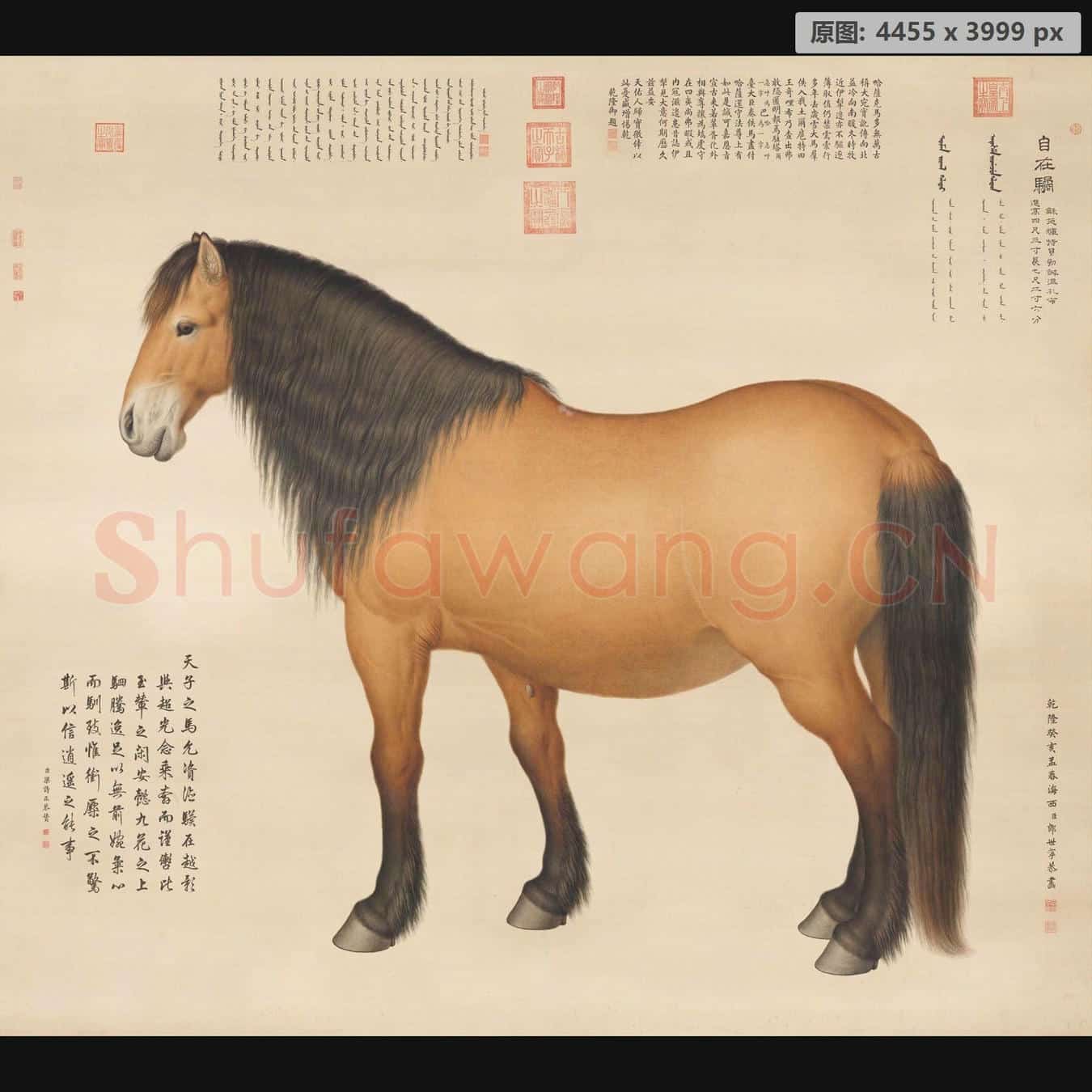 清 郎世宁 自在驈轴
