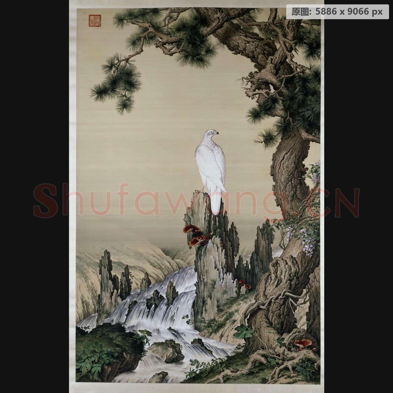 清 郎世宁 嵩献英芝图轴