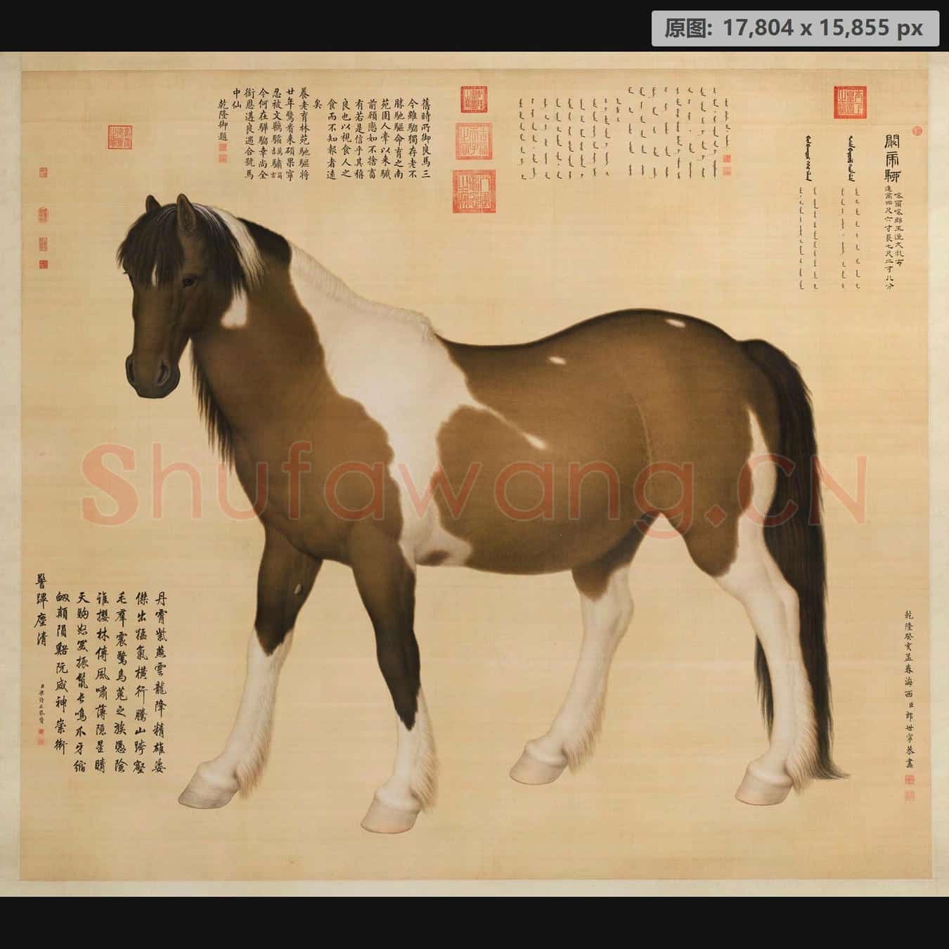清 郎世宁 阚虎骝轴
