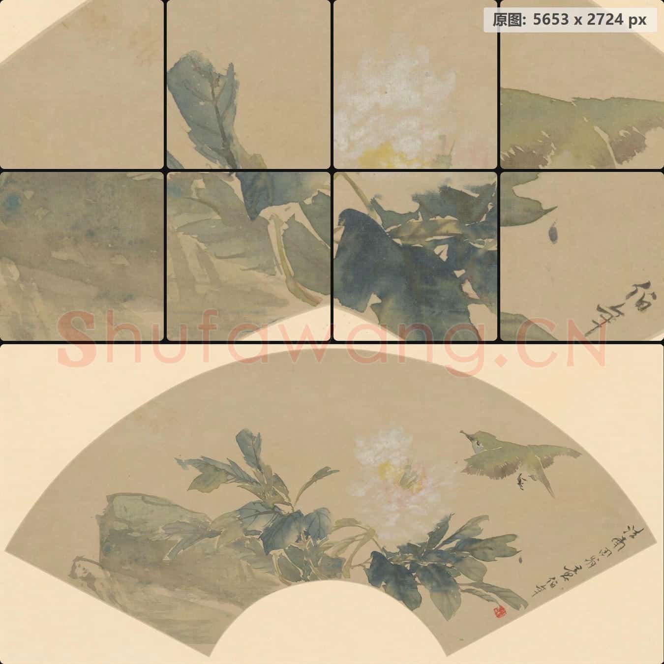 清 任颐 仿恽寿平花鸟扇页