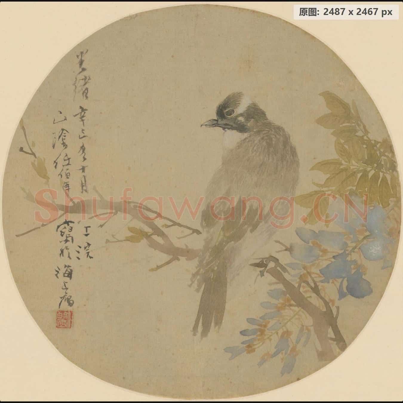 清 任颐 紫藤栖禽团扇