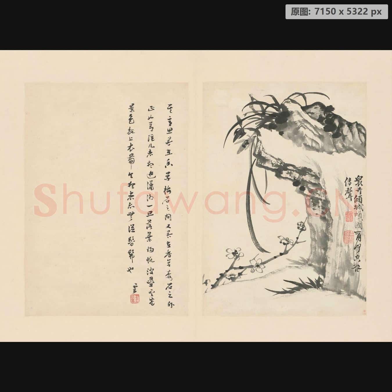 清 石涛 兰竹册