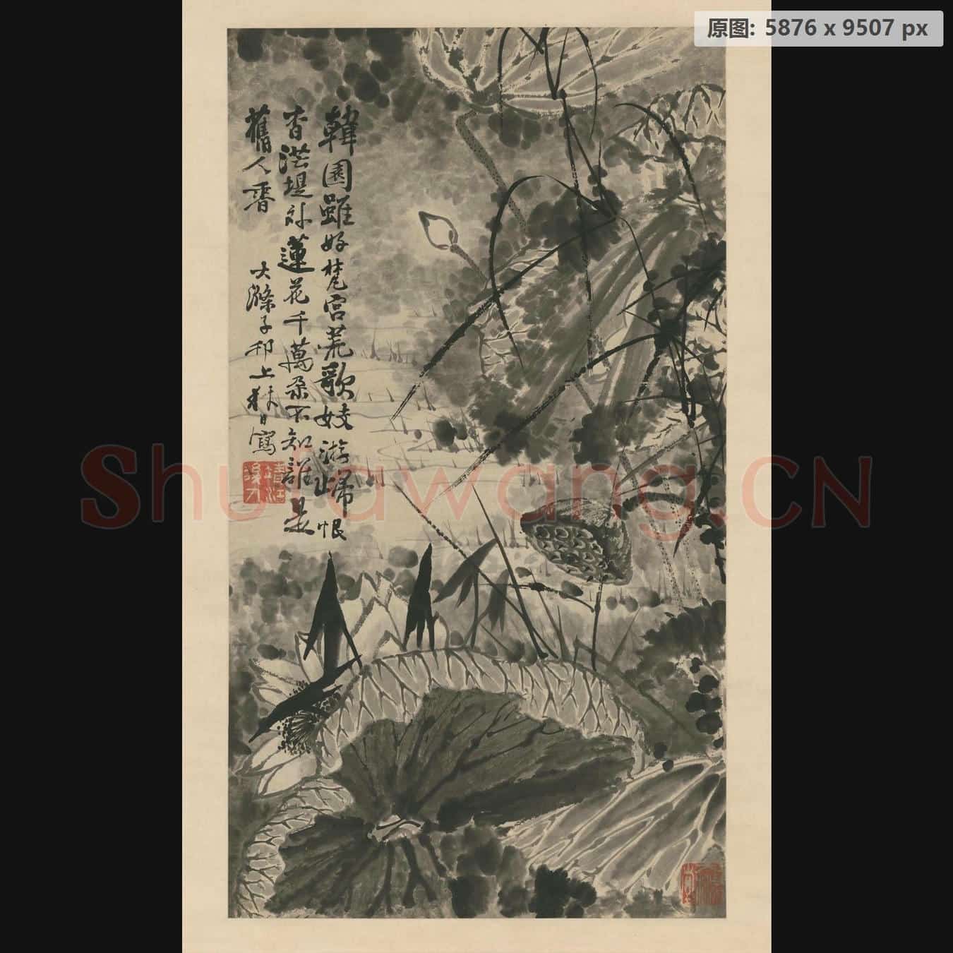 清 石涛 墨荷图轴