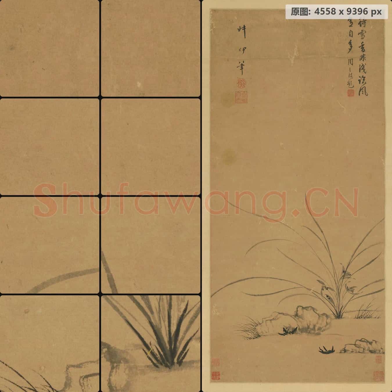 清 叔伊 兰石轴
