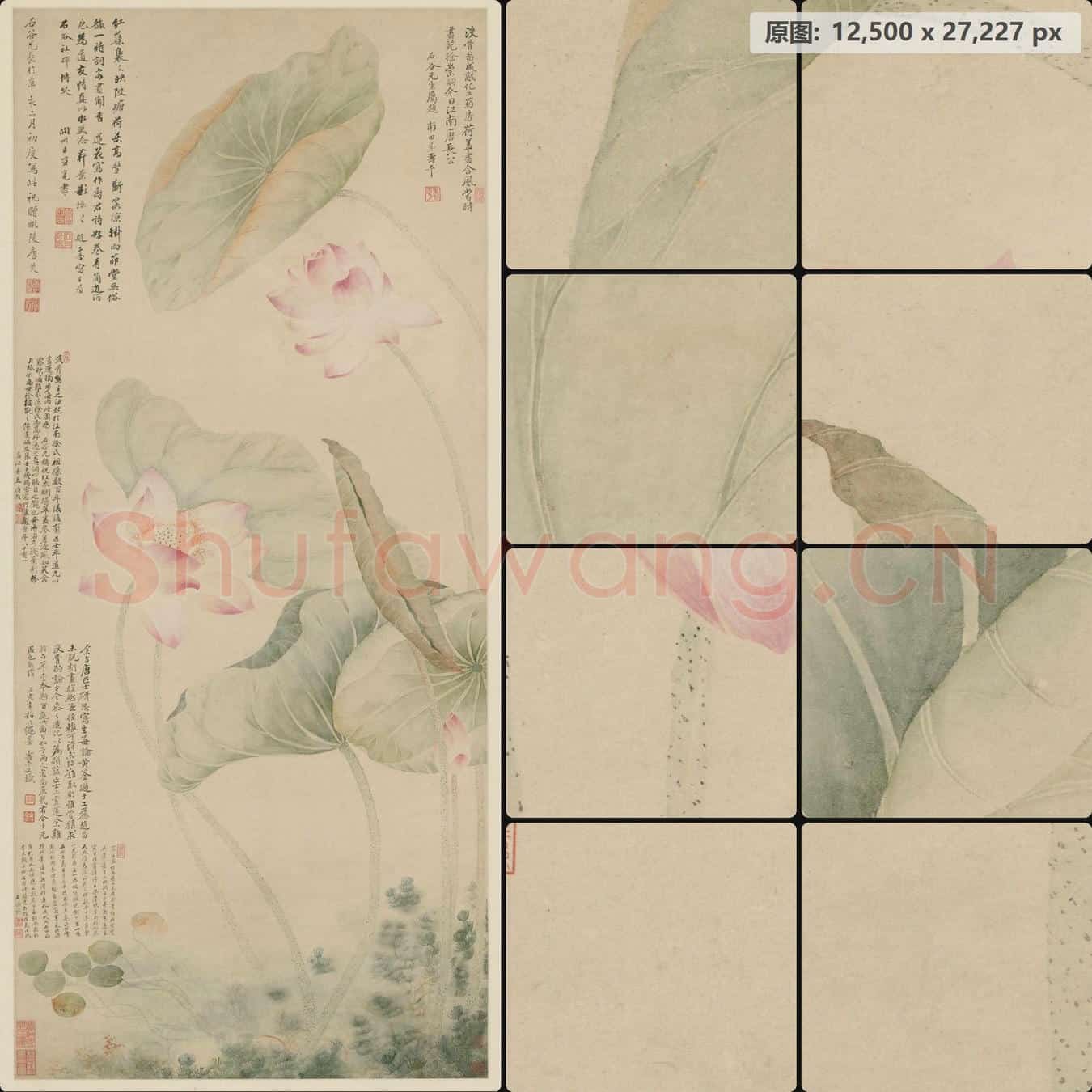清 唐炗 恽寿平 红莲绿藻图轴
