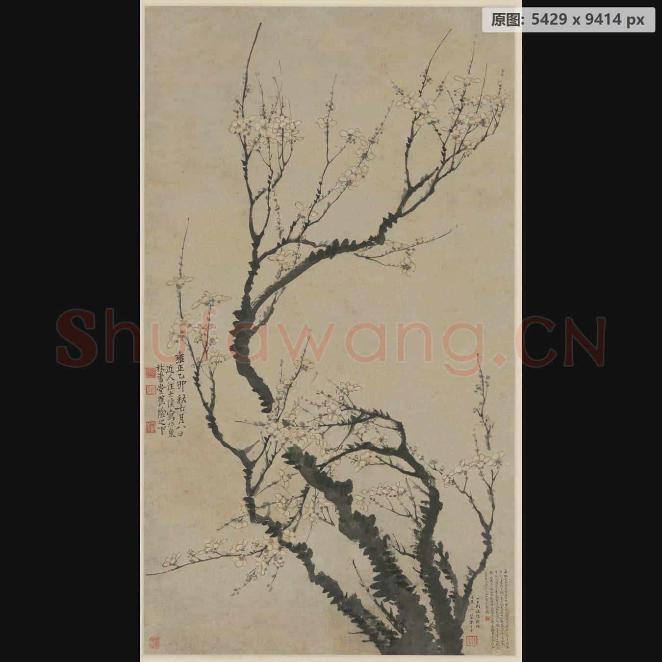 清 汪士慎 梅花图轴