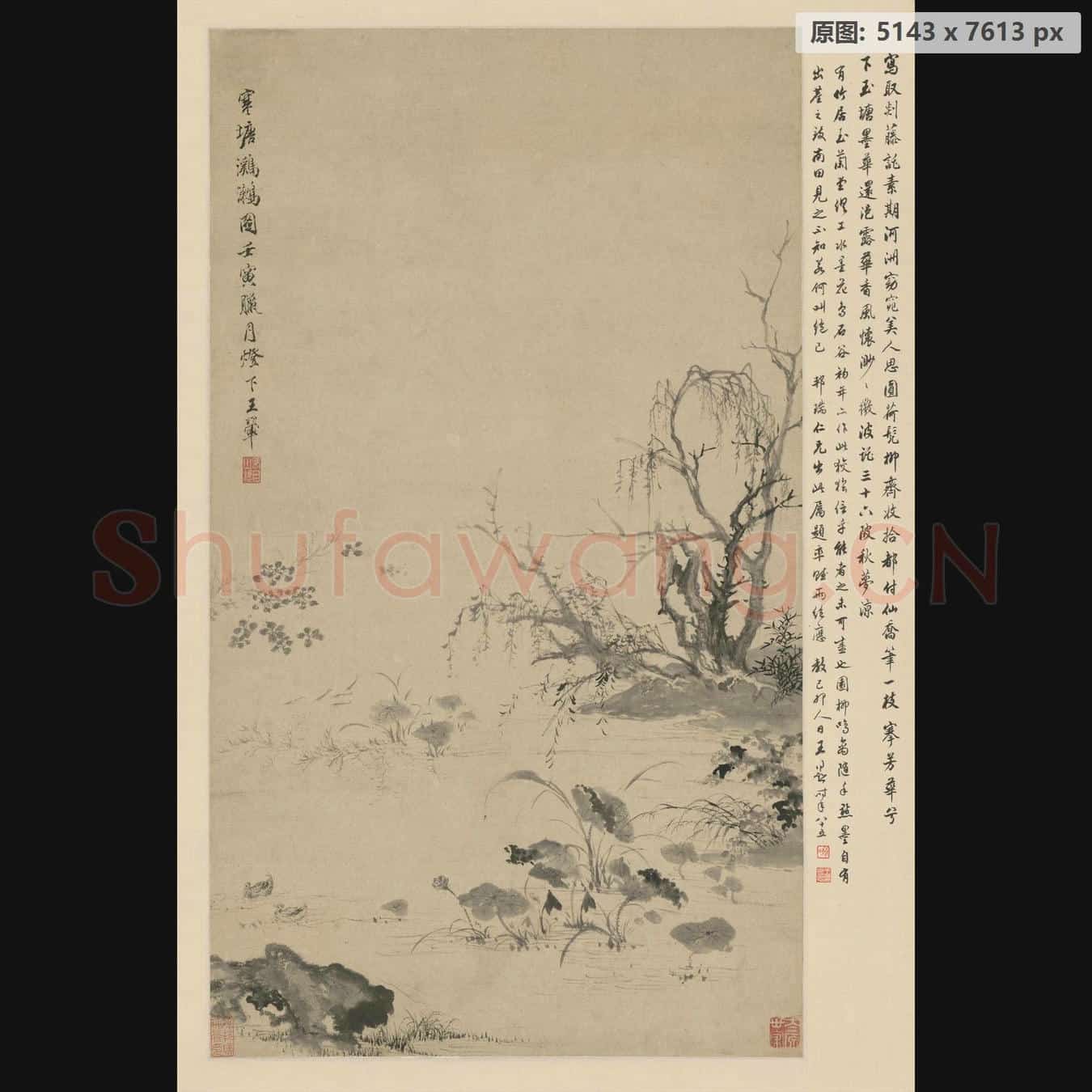 清 王翚 寒塘鸂鶒图轴