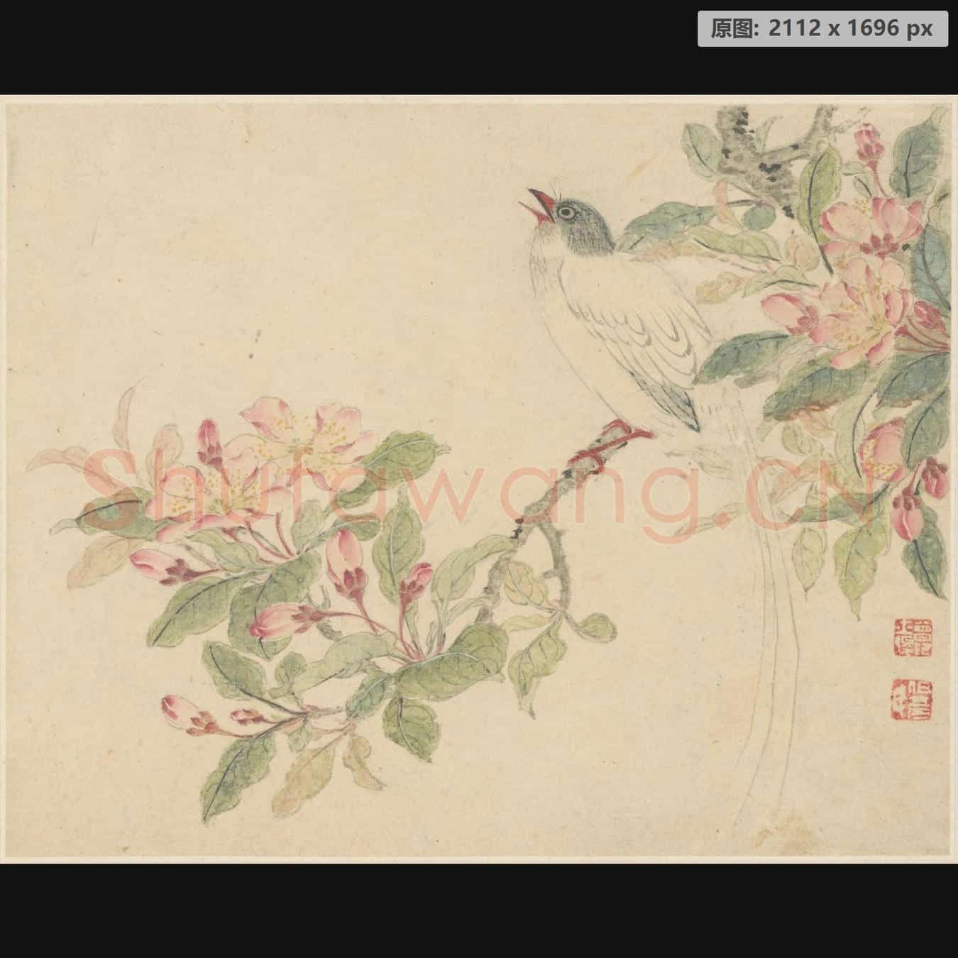 清 曾士俊 金陵名笔集胜-花鸟页
