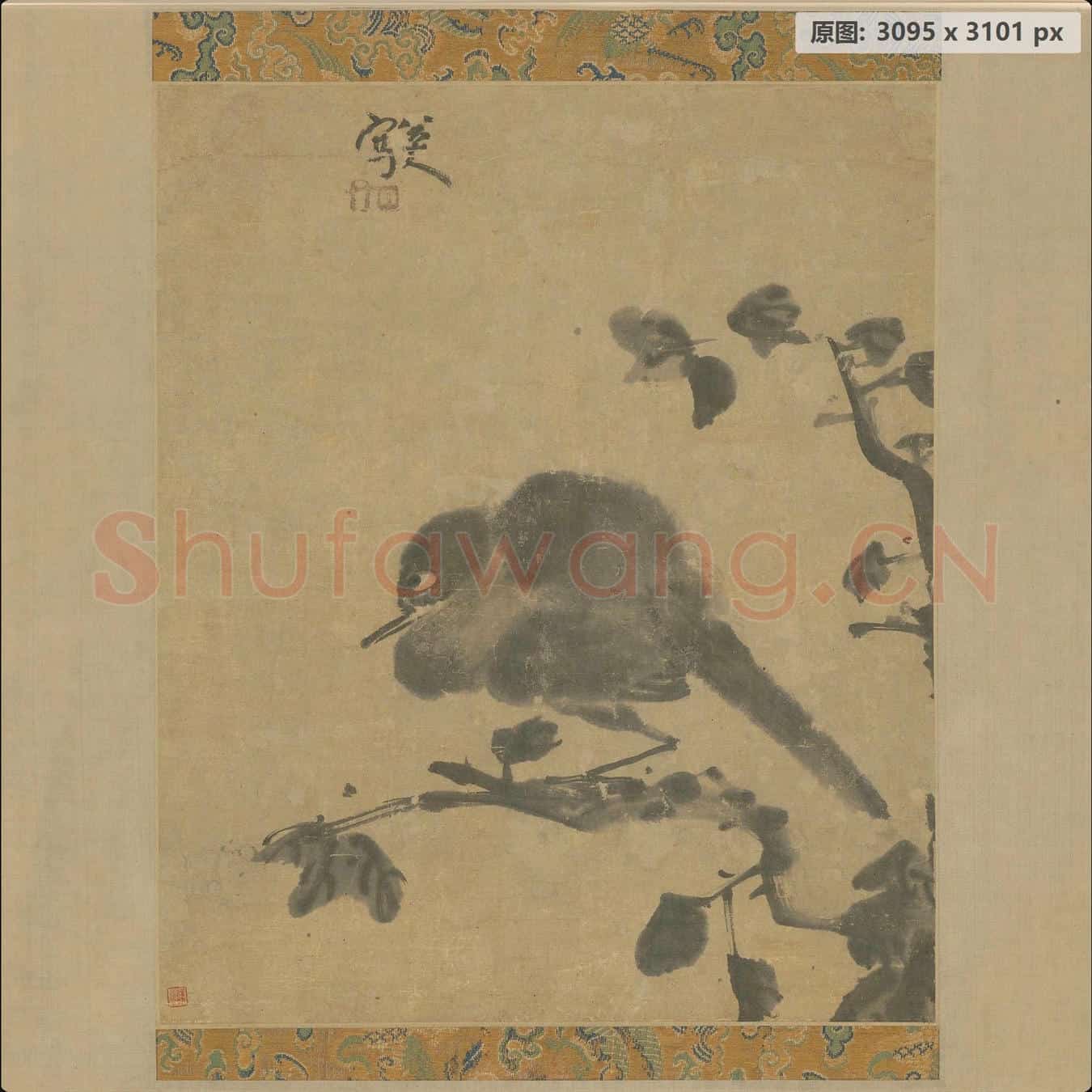 清 朱耷 棲鸟图页