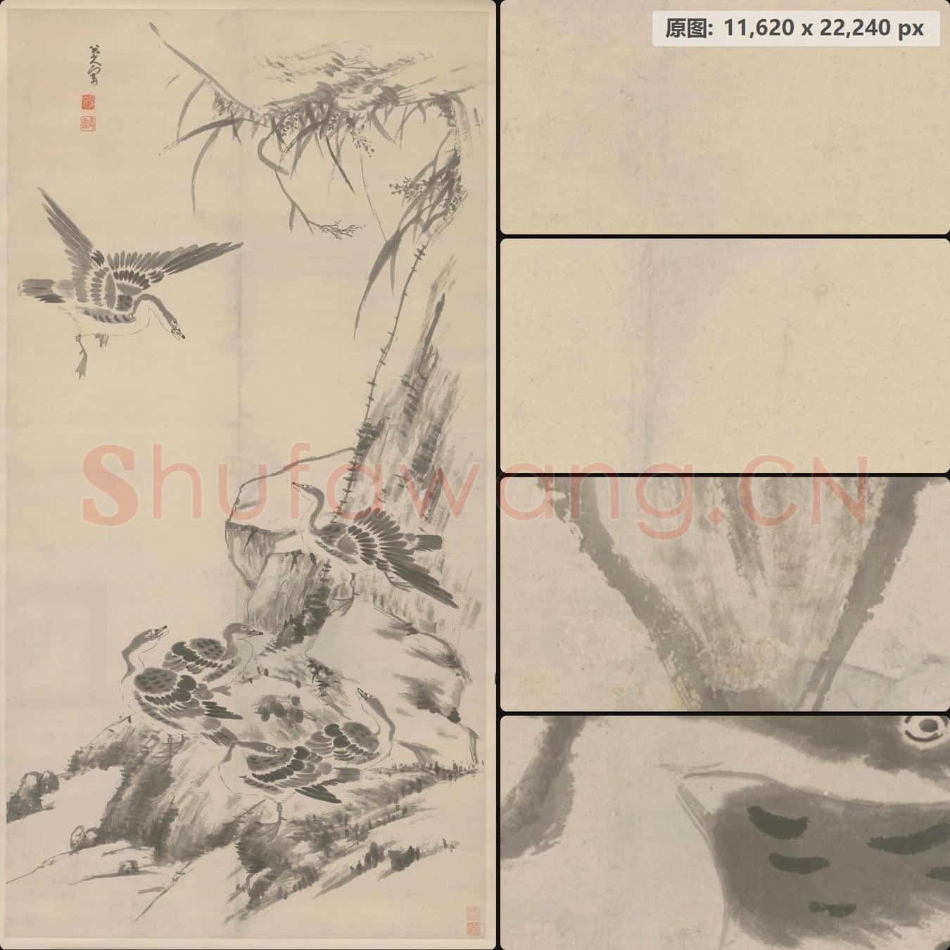 清 朱耷 芦雁图轴