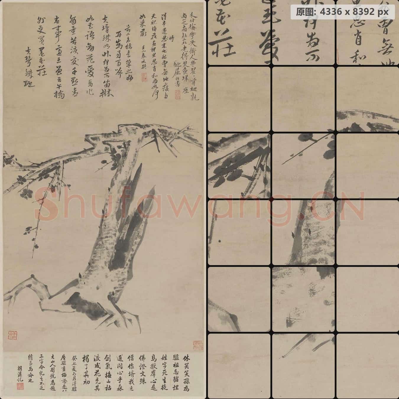 清 朱耷 梅花轴