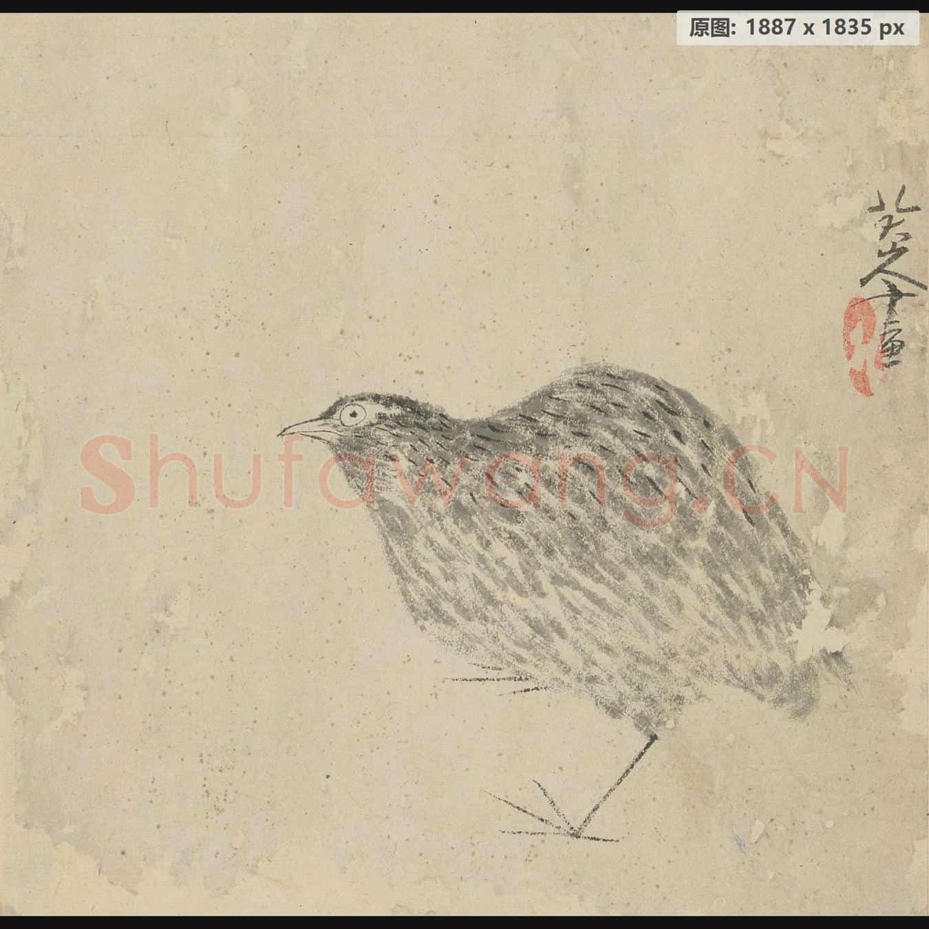 清 朱耷 石鸟页
