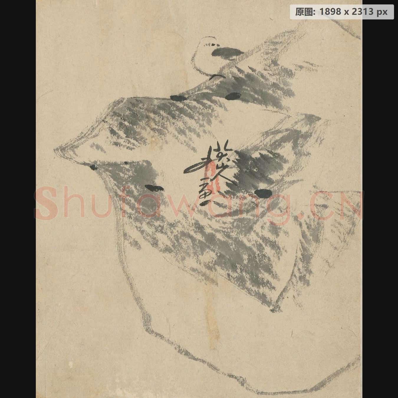 清 朱耷 鹌鹑页