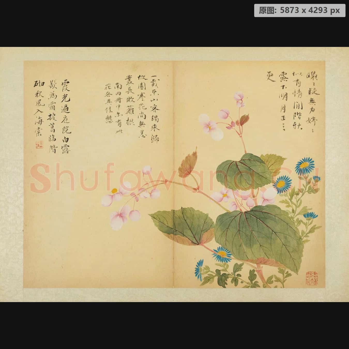 清 邹一桂 花卉图册