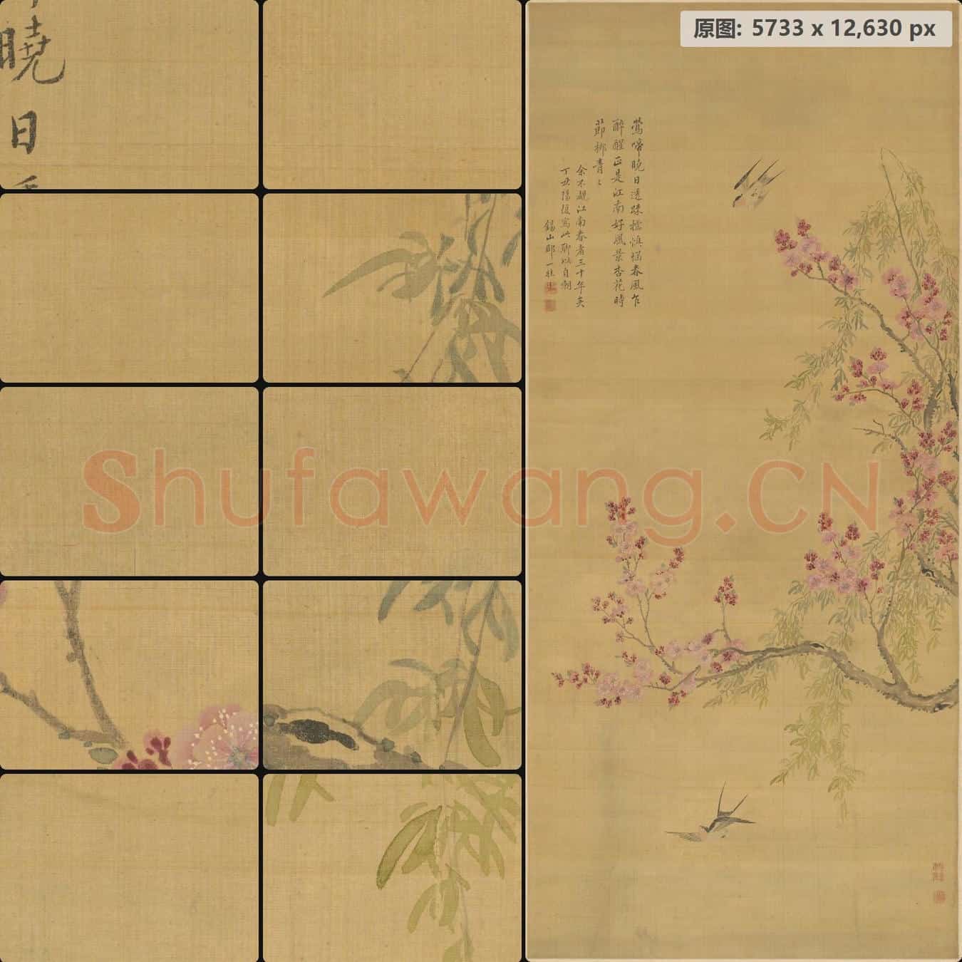 清 邹一桂 杏花柳燕轴