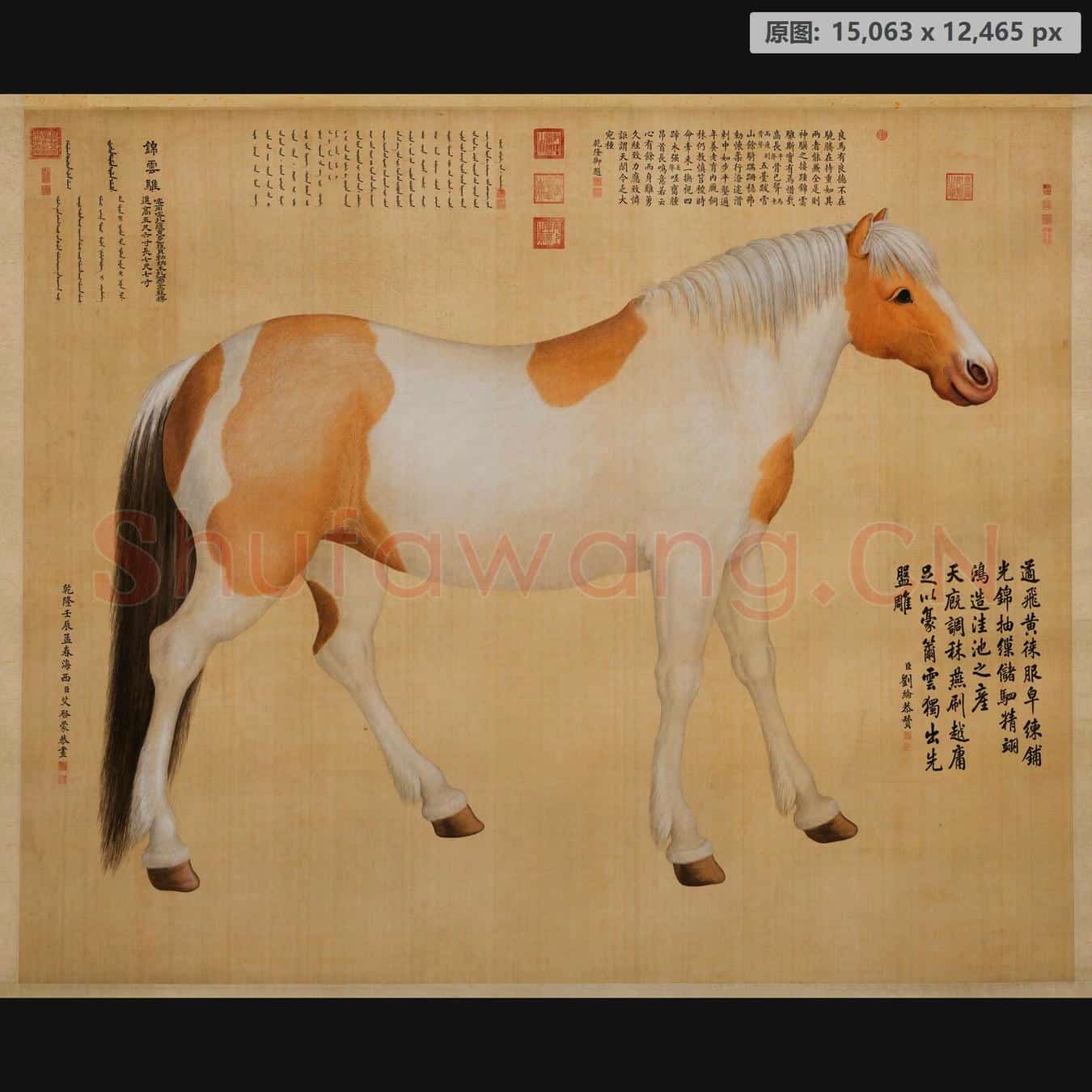 清乾隆 艾启蒙 锦云骓轴