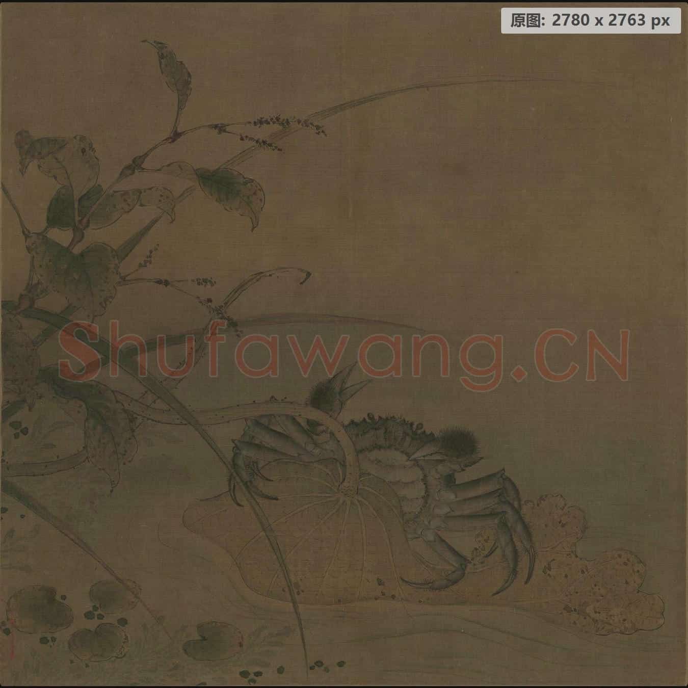 宋 佚名 荷蟹单页