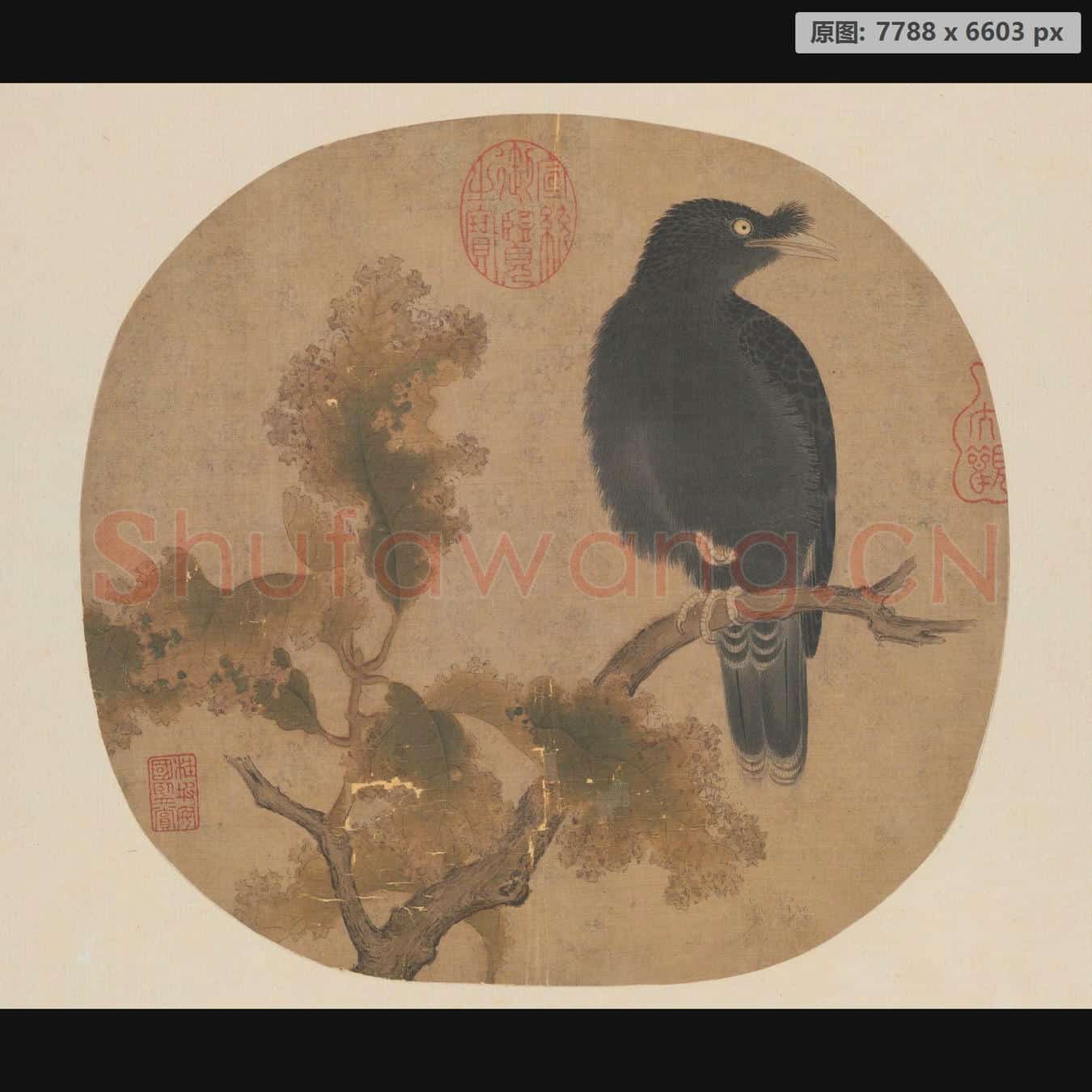宋 佚名 秋树鹧鸪页