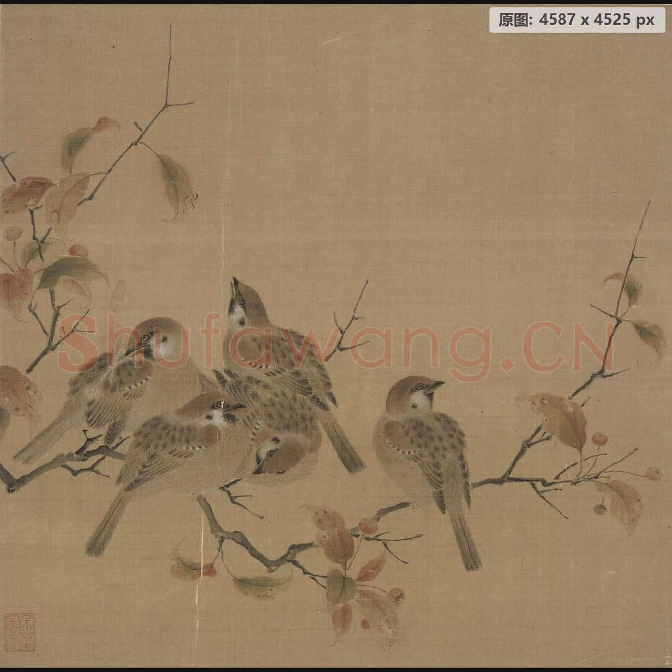 宋 佚名 瓦雀栖枝页