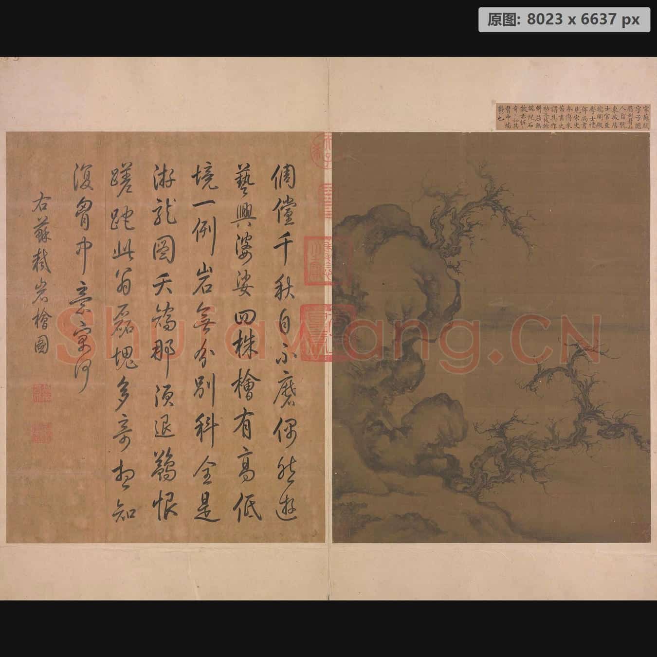 宋 佚名 岩桧图册页