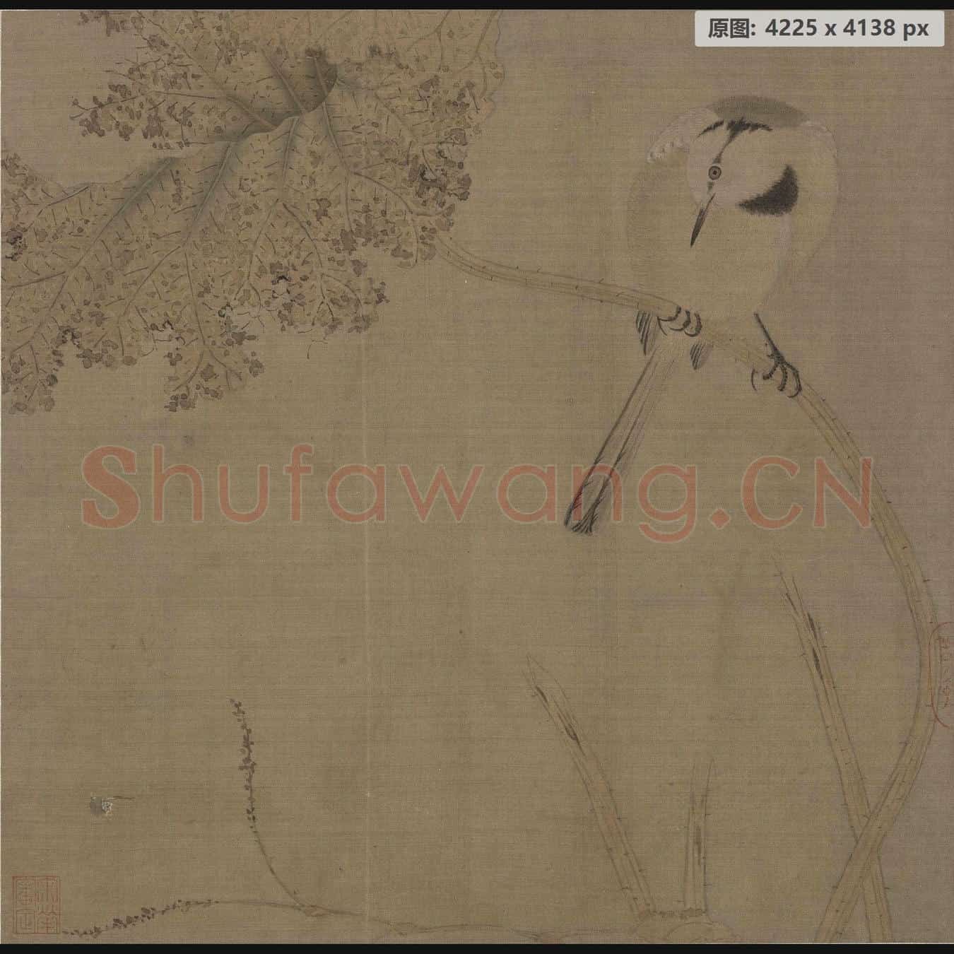 宋 佚名 鹡鸰荷叶页