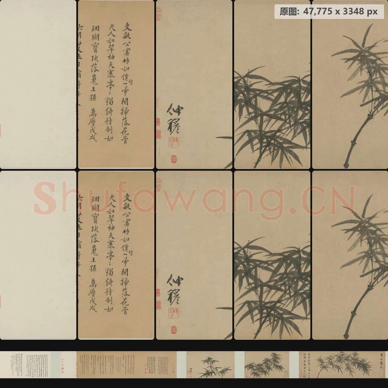 元 赵孟頫 管道昇 赵雍 一门三竹卷