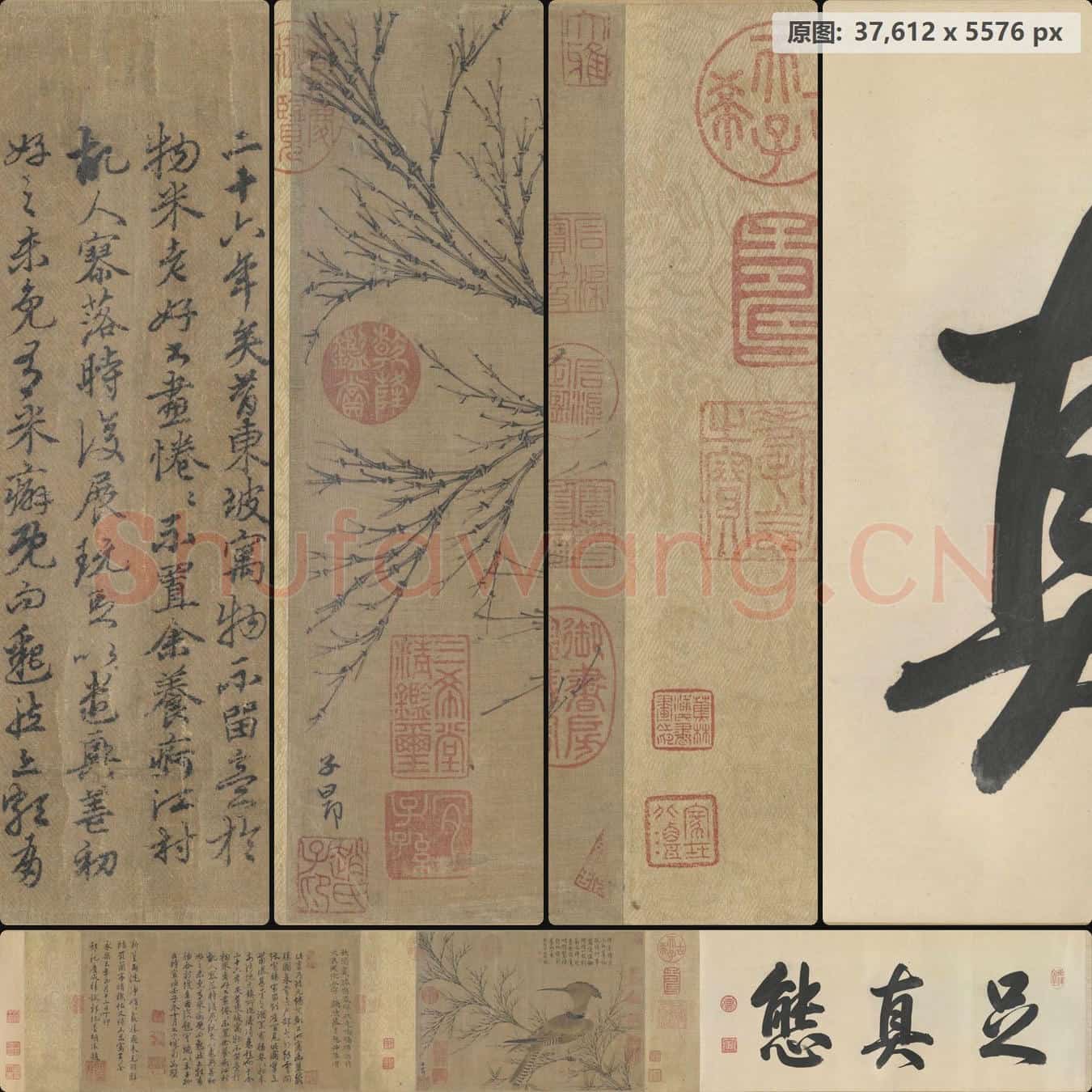 元 赵孟頫 幽篁戴胜图卷