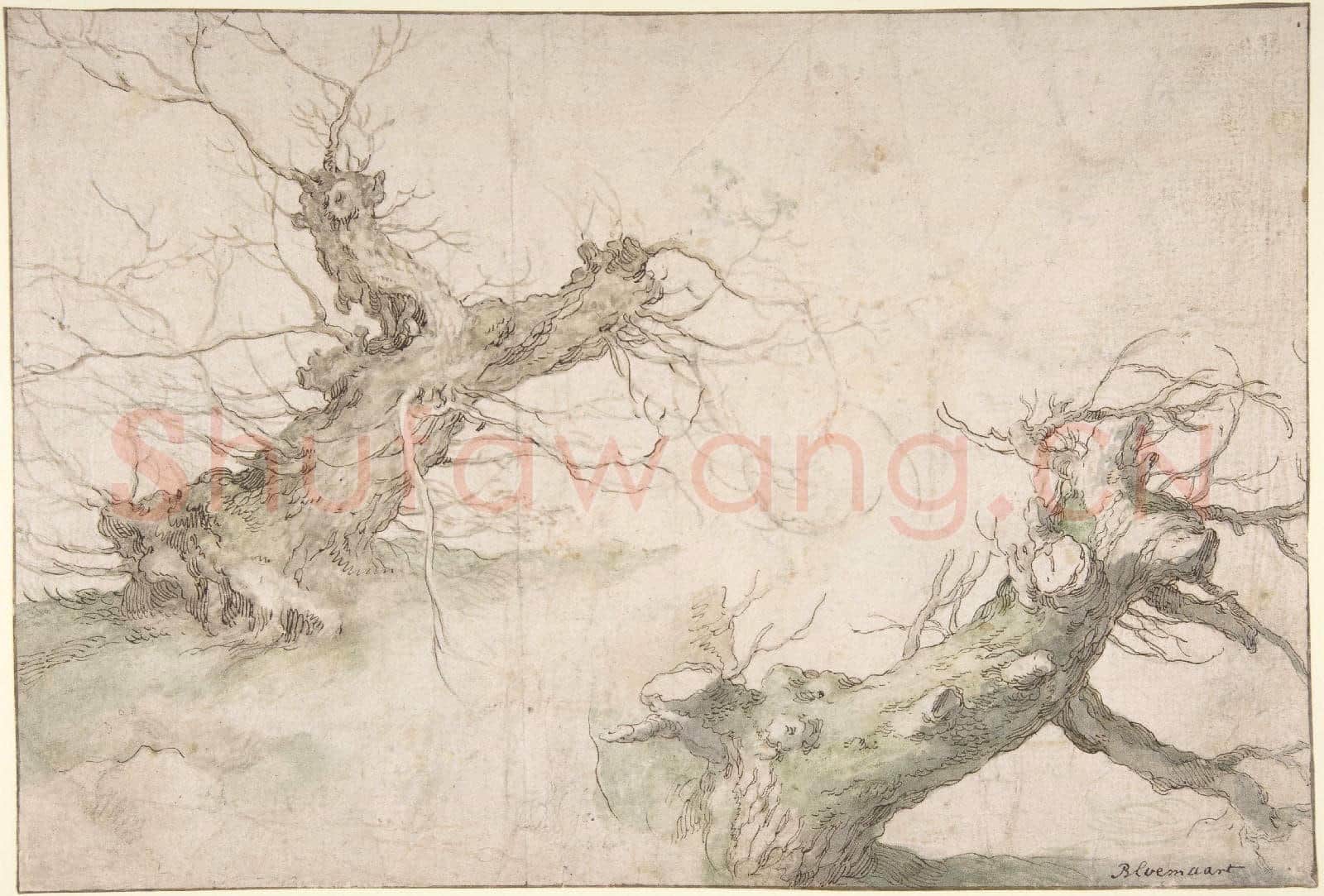 Abraham Bloemaert-Studies of Two Pollard Willows.tif