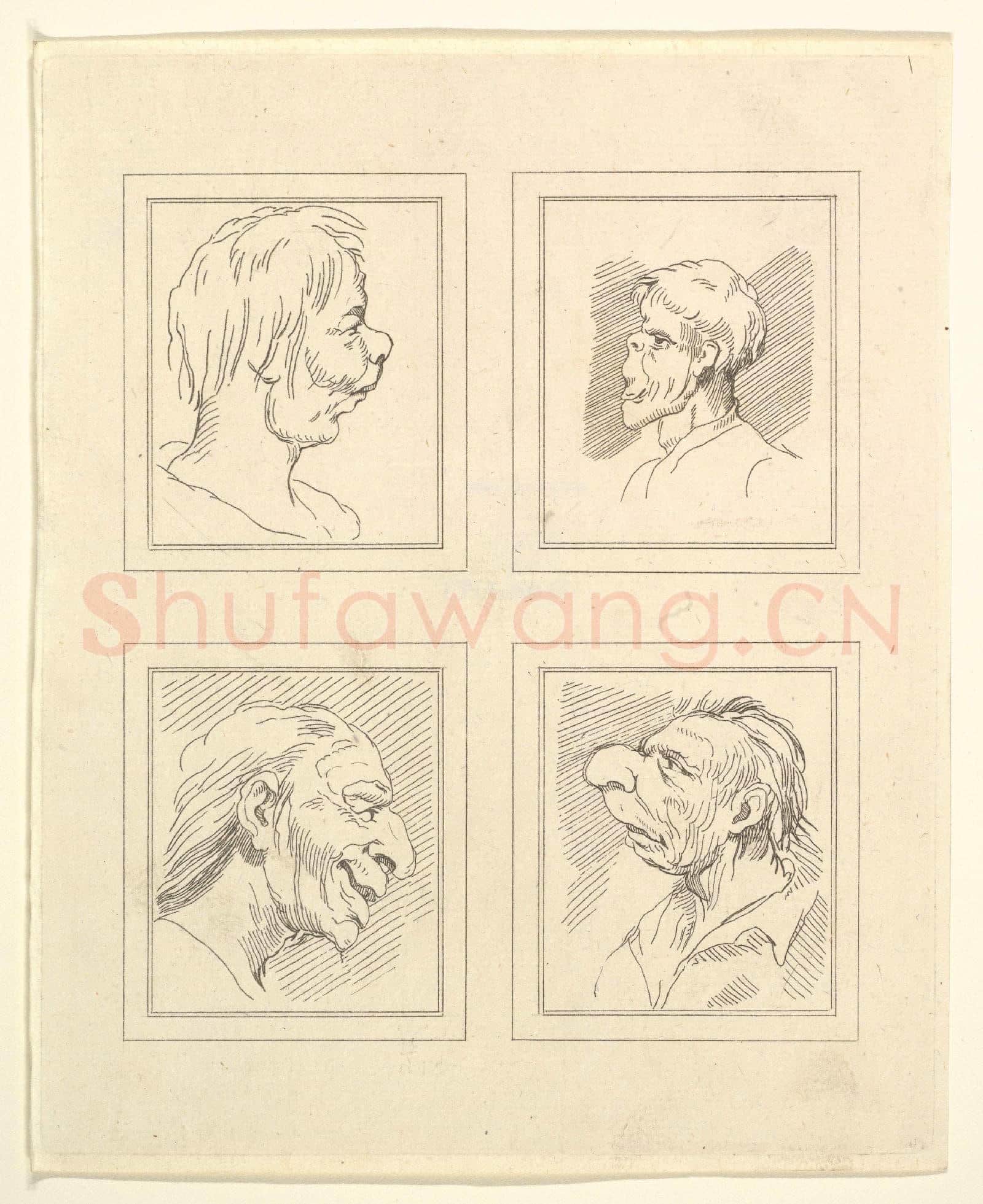 After Wenceslaus Hollar-Four Heads14.tif
