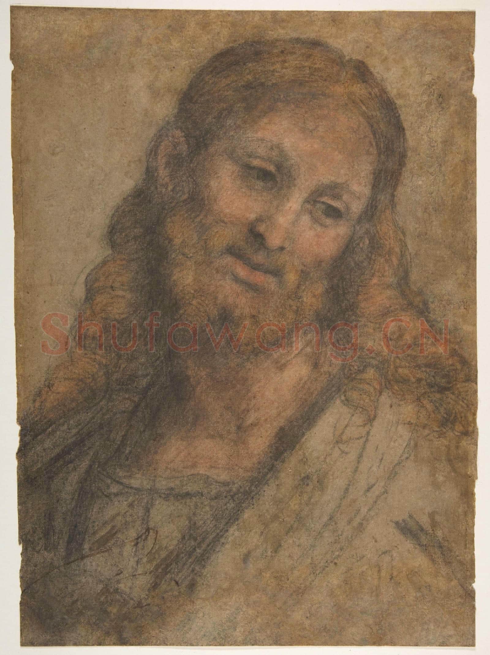 Andrea Solario-Bust of a Bearded Figure.tif