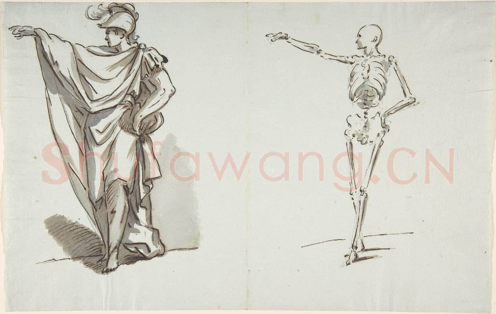 Anonymous-Anatomical drawing1.tif