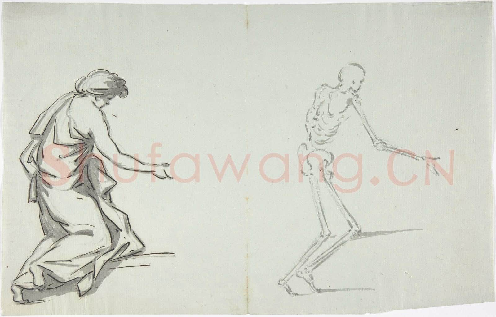 Anonymous-Anatomical drawing2.tif
