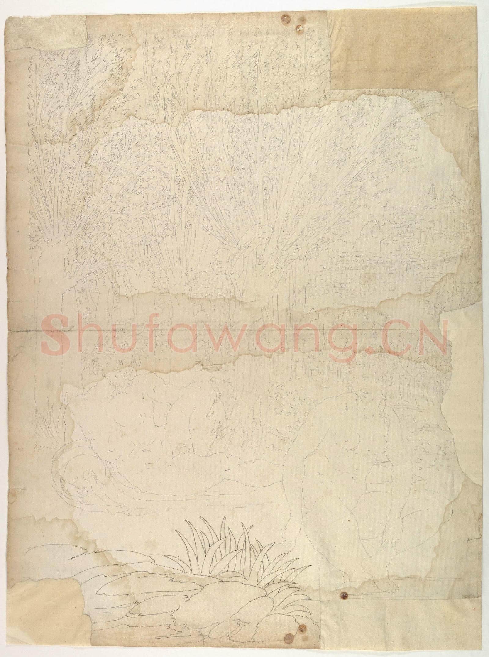 Anonymous-Ornamental drawing(2).tif