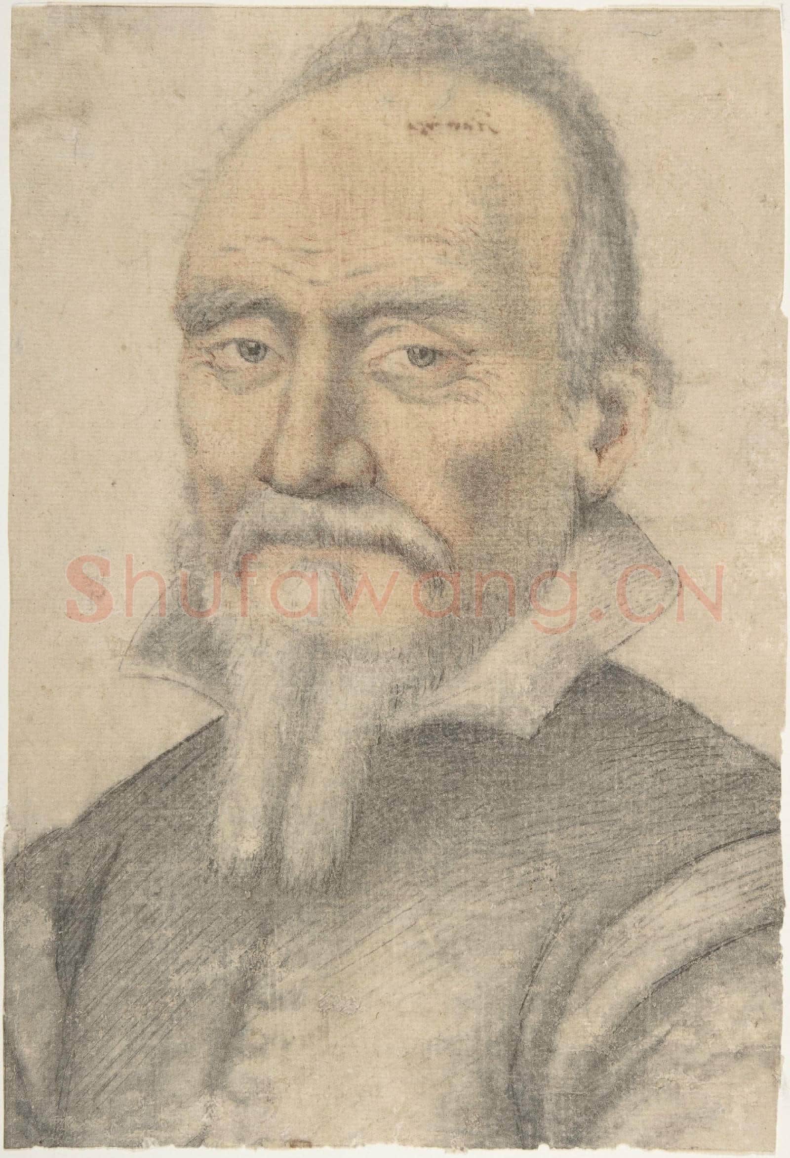 Anonymous-Portrait of a Man(2).tif