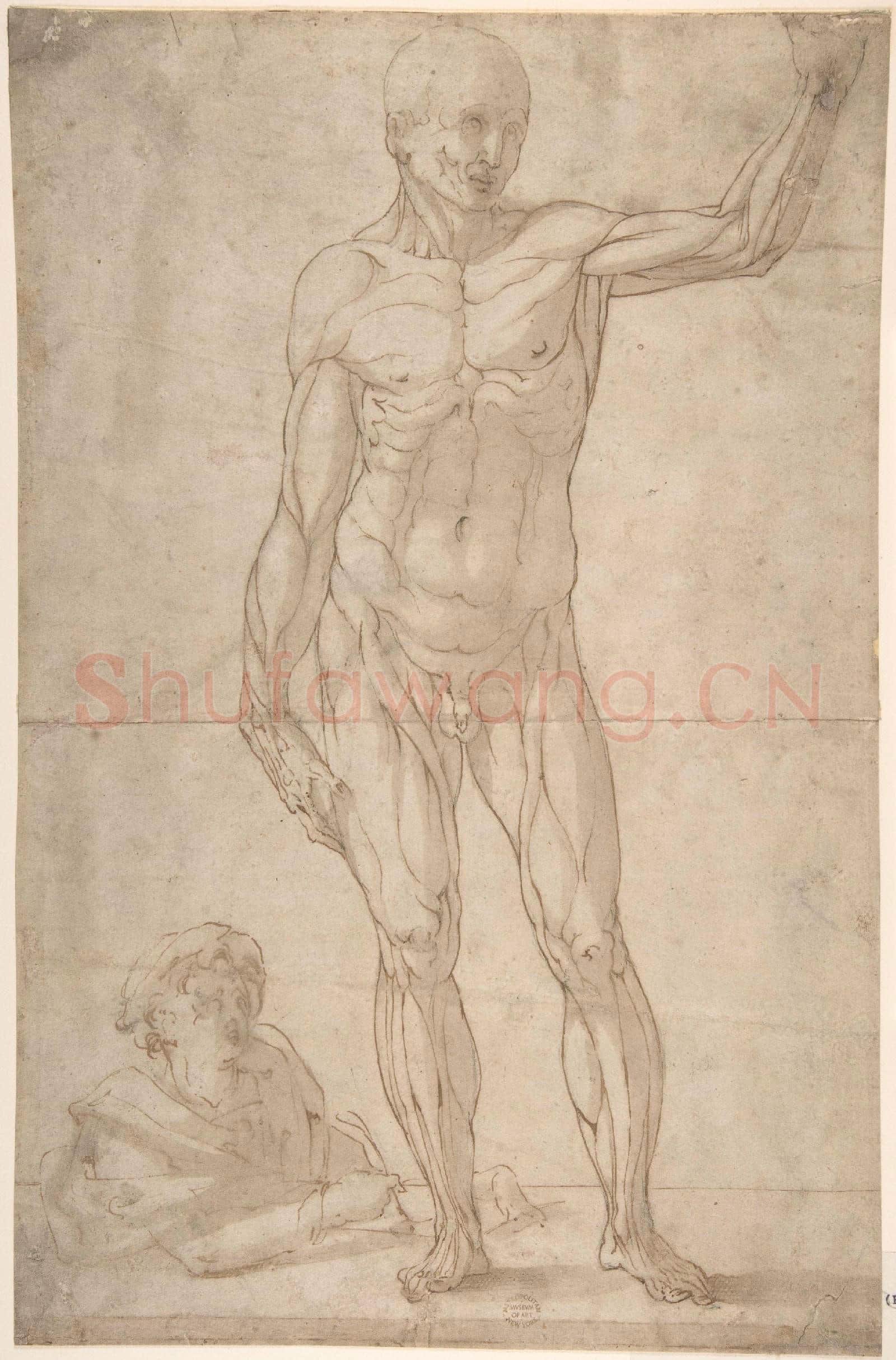 Anonymous-Study of Anatomy A Youth Drawing an Ecorché of a Standing Man.tif