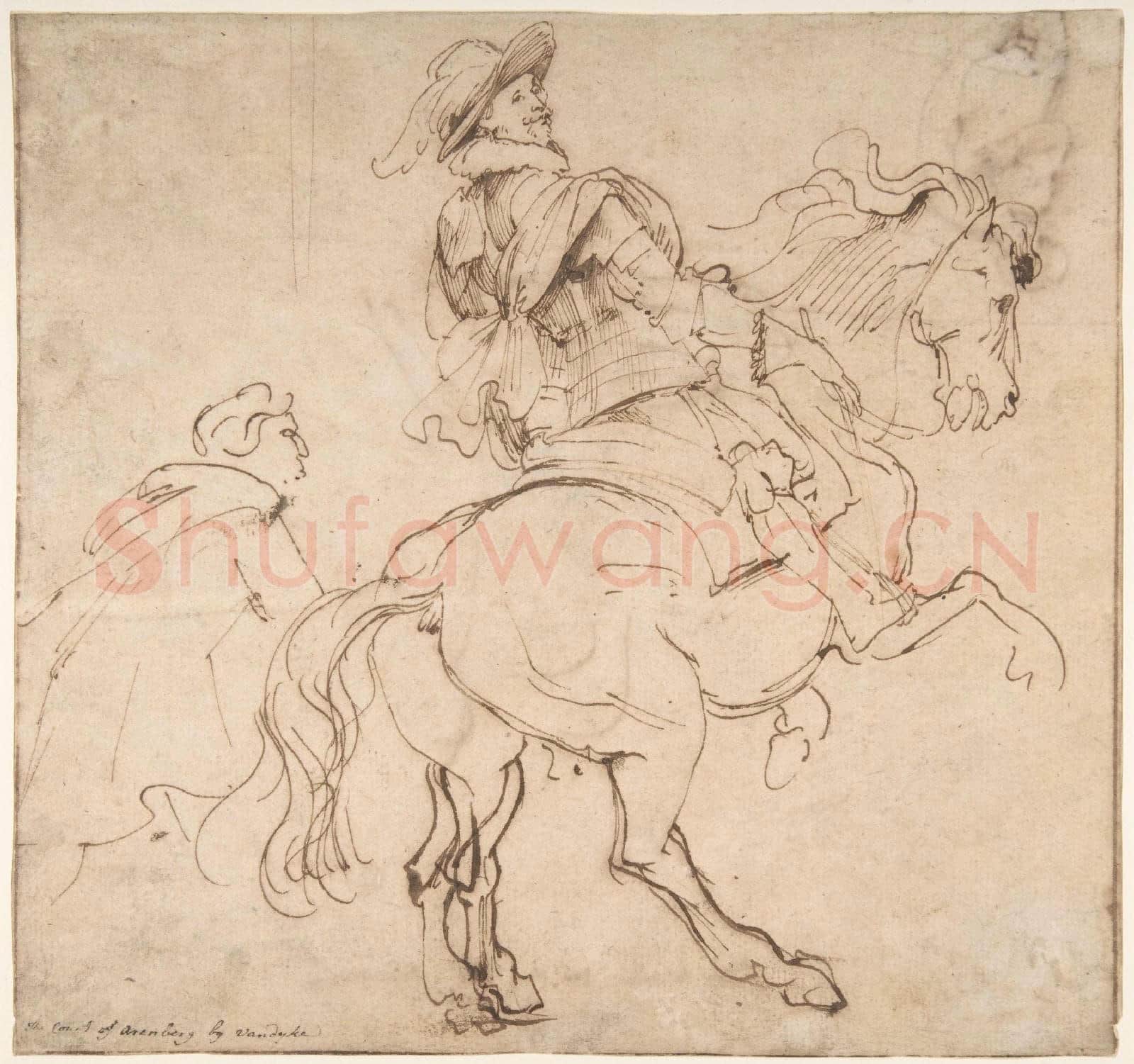 Anthony van Dyck-Study for an Equestrian Portrait, Possibly that of Albert de Ligne.tif