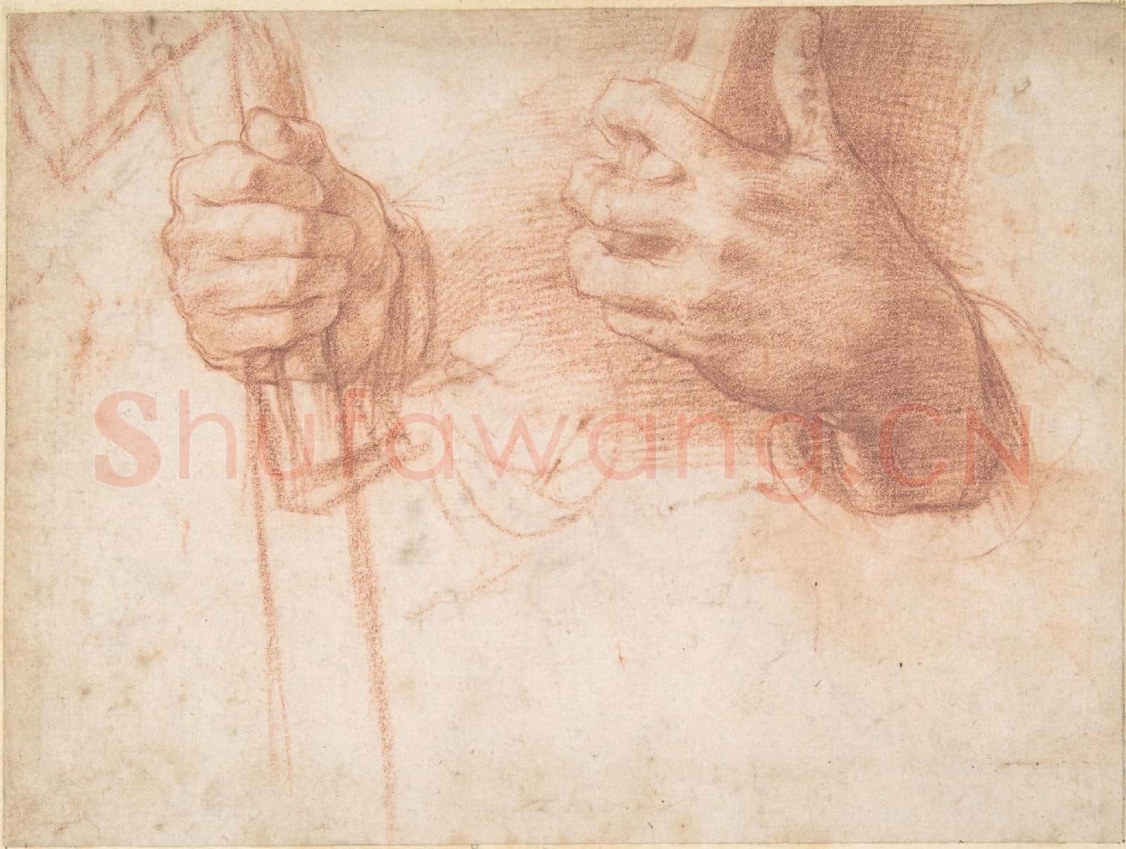 Attributed to Andrea del Sarto-Studies of Hands.tif