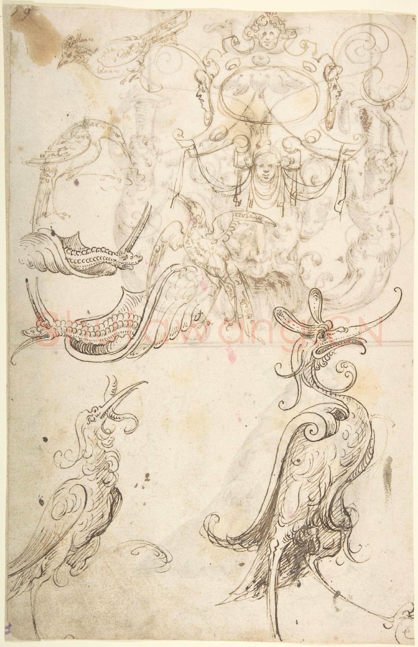 attributed to Andrés de Melgar-Five Birds, Two Snails and a Cartouche with masks.tif