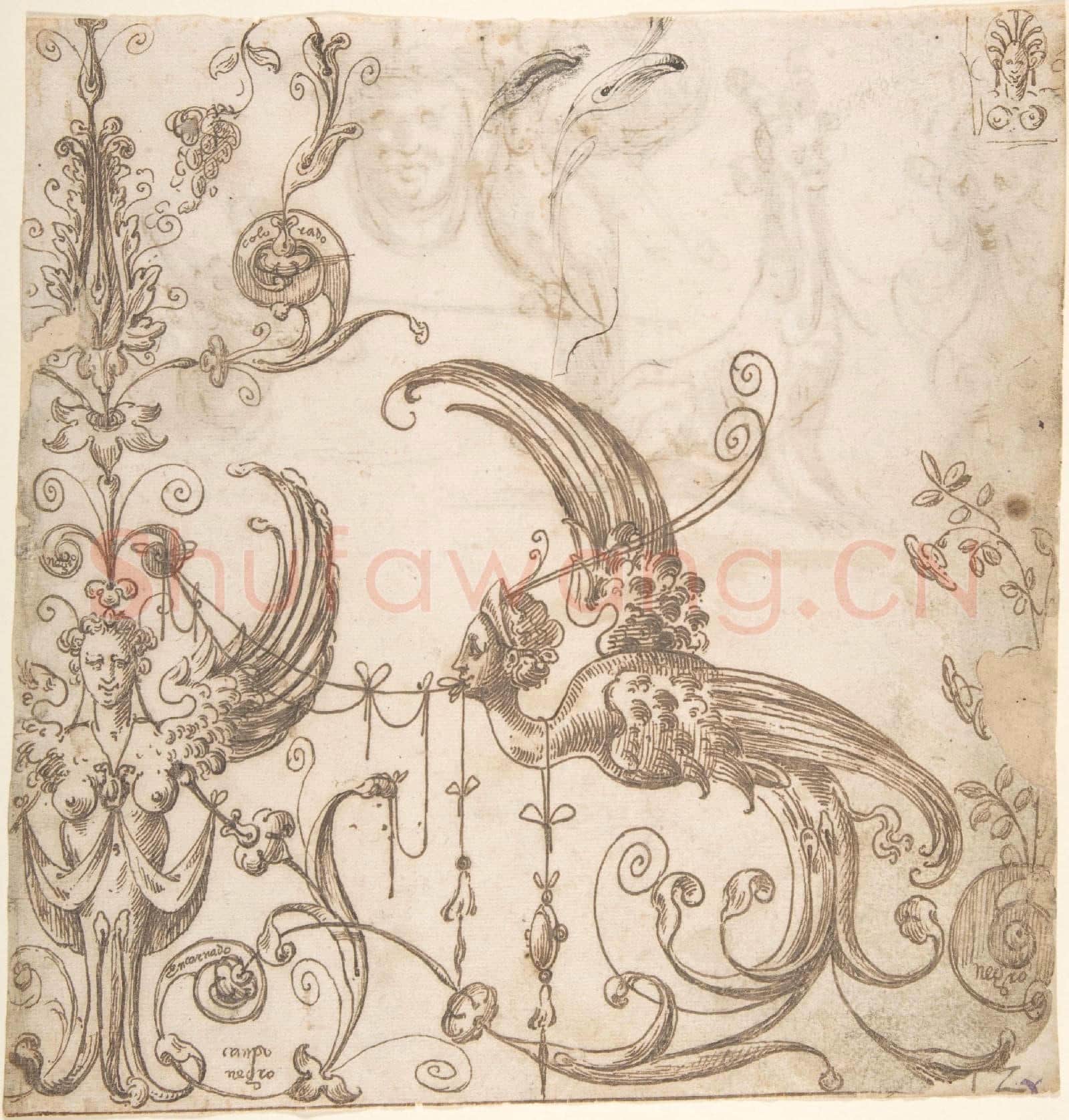 attributed to Andrés de Melgar-Grotesque of Winged Female Term and Bird-Creature.tif
