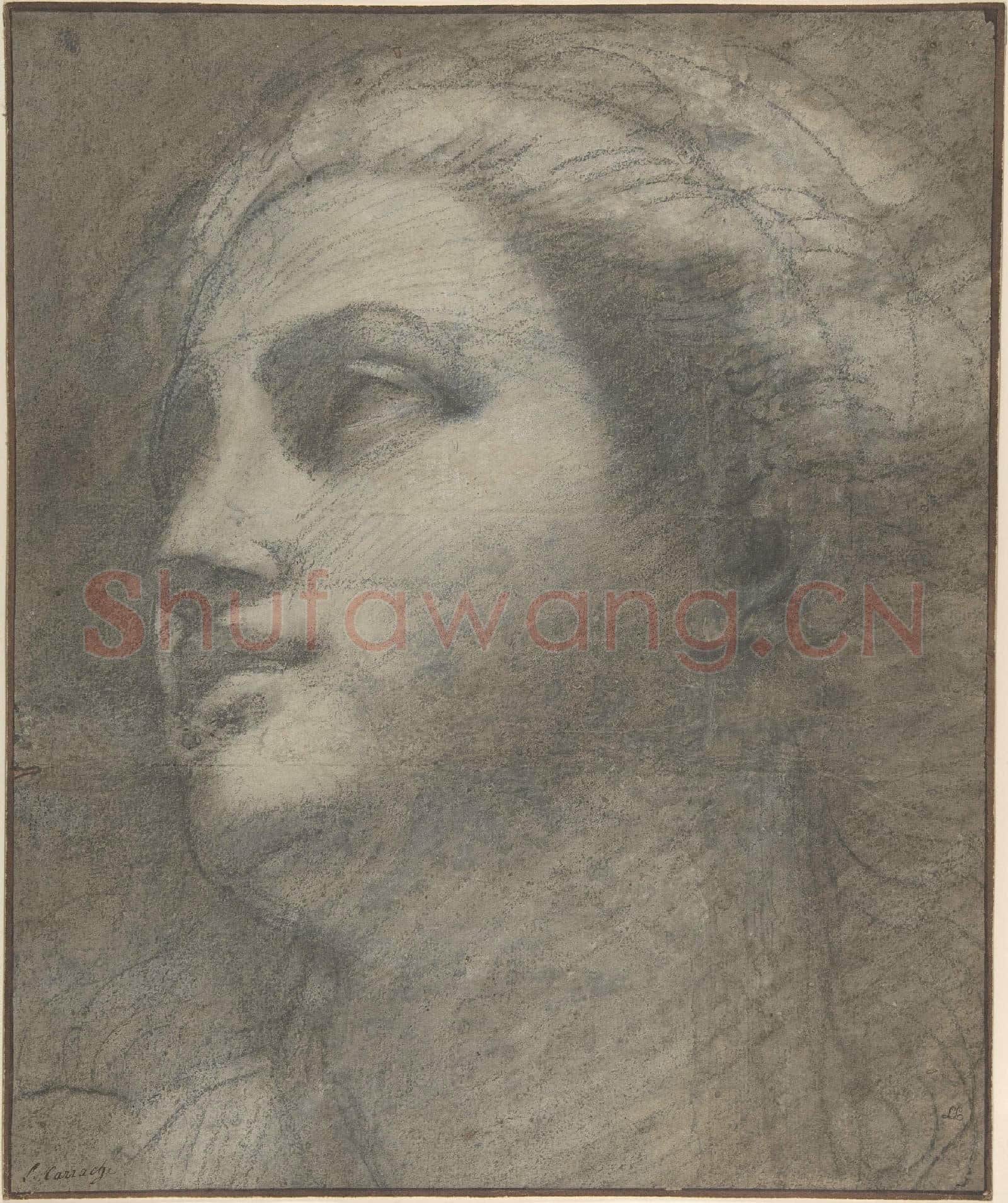 Attributed to Annibale Carracci-Head of a Woman Looking to Upper Left.tif