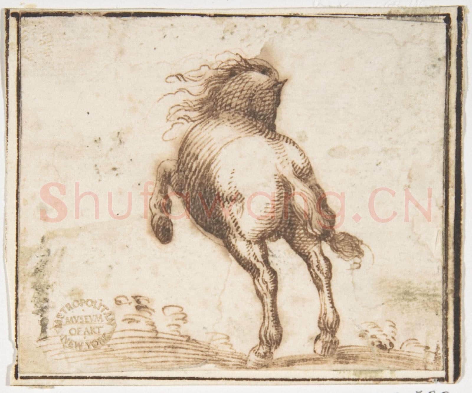 attributed to Francesco Allegrini-Horse5.tif