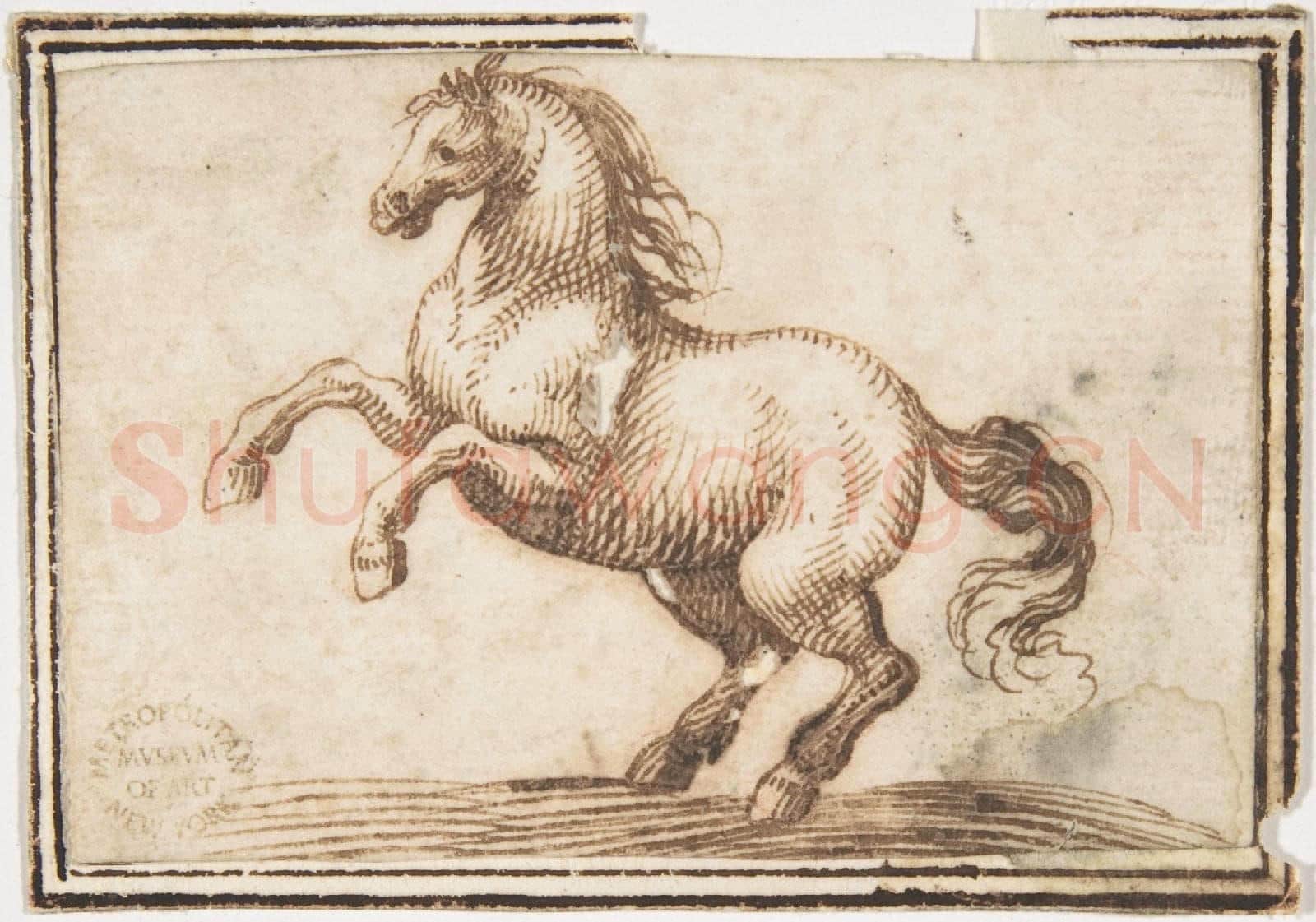 attributed to Francesco Allegrini-Horse6.tif
