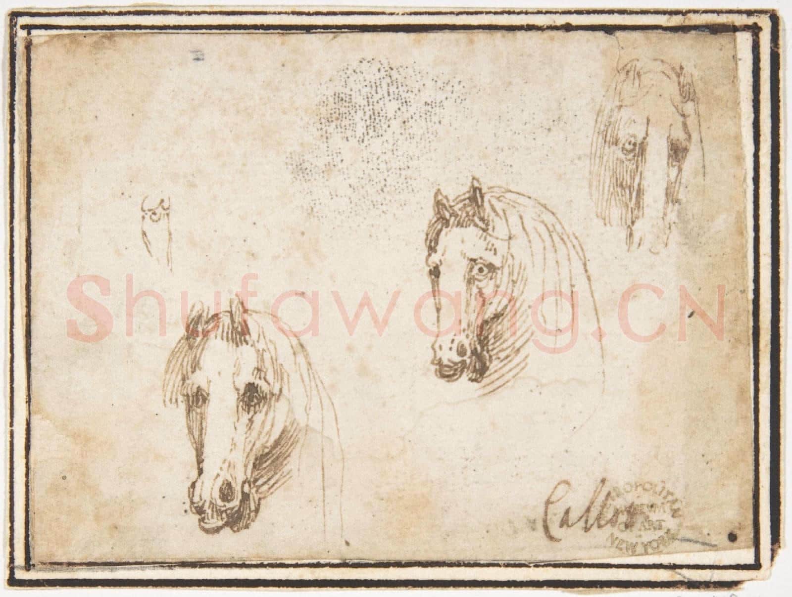 attributed to Francesco Allegrini-Horses' Heads.tif