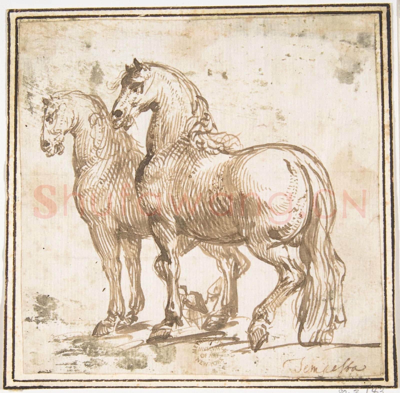 attributed to Francesco Allegrini-Two Horses.tif