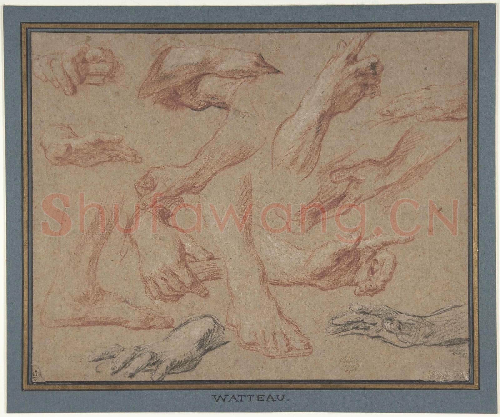 Attributed to François Le Moyne-Studies of Hands and Feet.tif