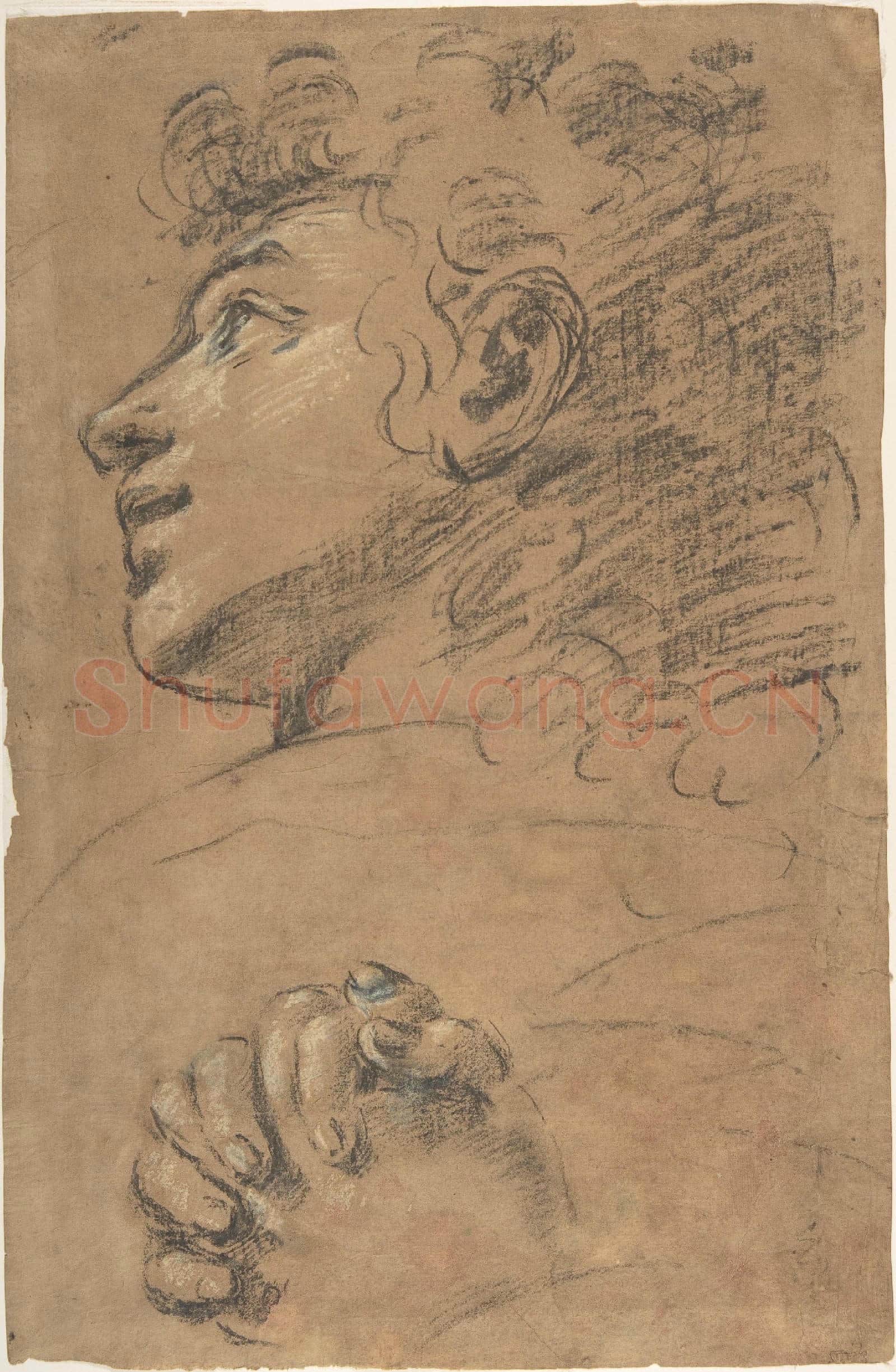 attributed to Giacomo Cavedone-Profile Head of a Youth Looking to Upper Left.tif