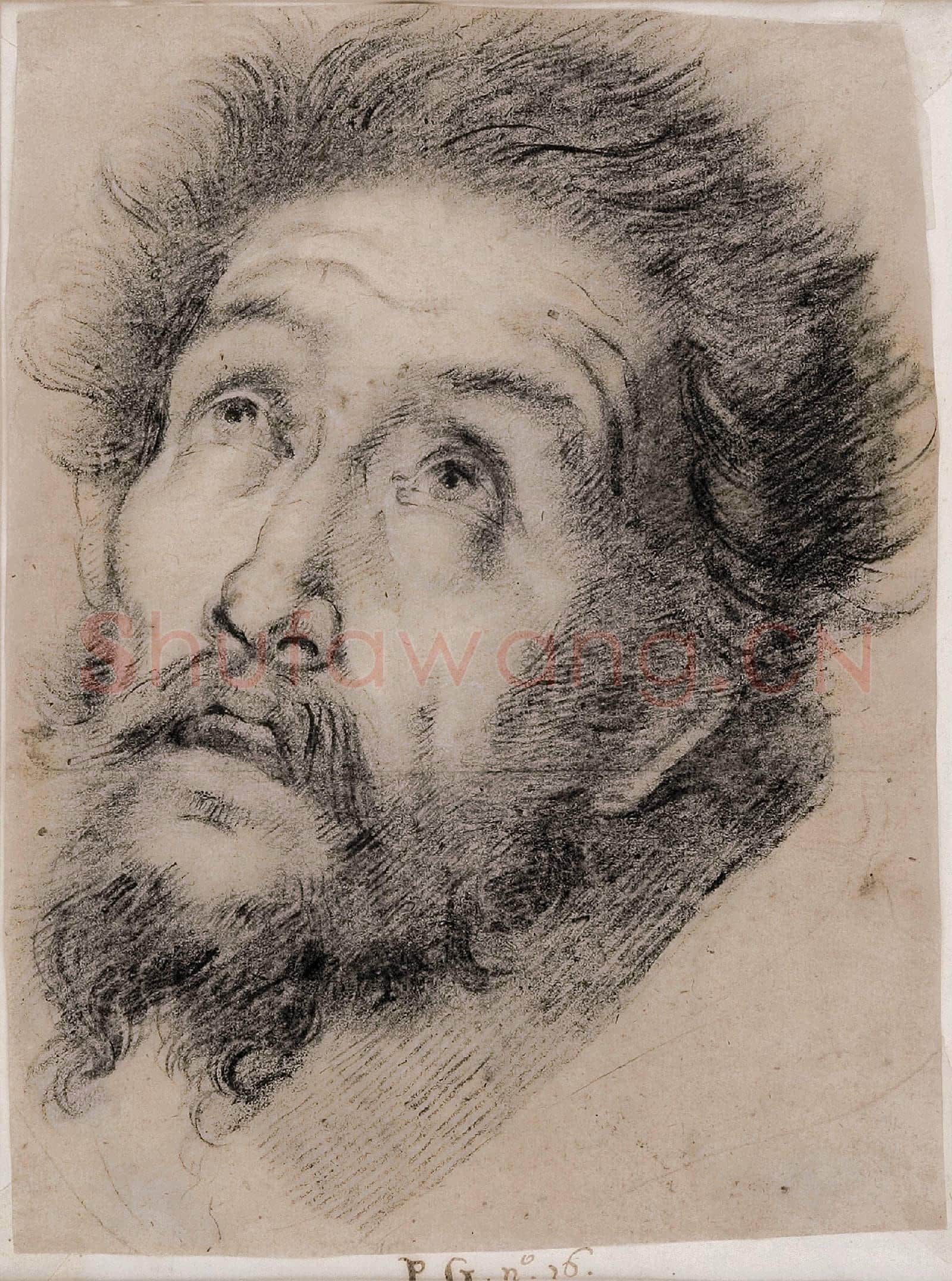 Bernardo Strozzi(1581–1644)-Study for St Francis of Assisi adoring the cross.tif