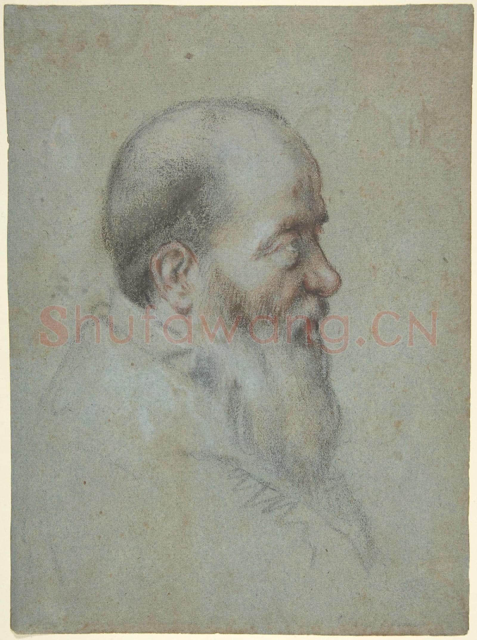 Carletto Caliari-Bust of a Bearded Old Man, Profile to Right.tif